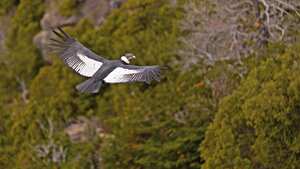NO USAR, USO EXCLUSIVO MEJOR COLOMBIA, Especial Acueducto de Bucaramanga, Agua y Cambio Climático