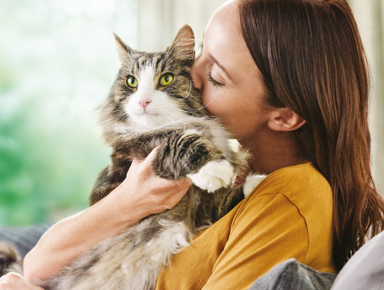 Las necesidades alimenticias de los animales de compañía cambian de acuerdo con su forma de vida e interacción con las personas.