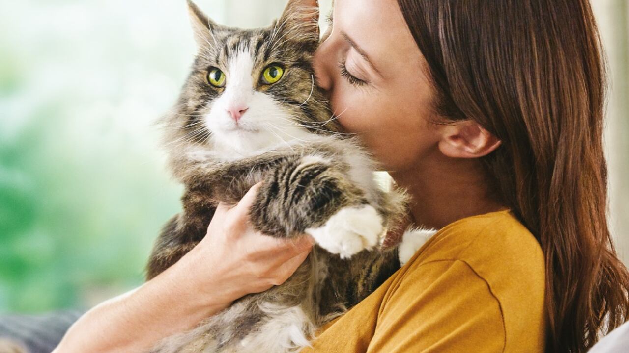 Las necesidades alimenticias de los animales de compañía cambian de acuerdo con su forma de vida e interacción con las personas.