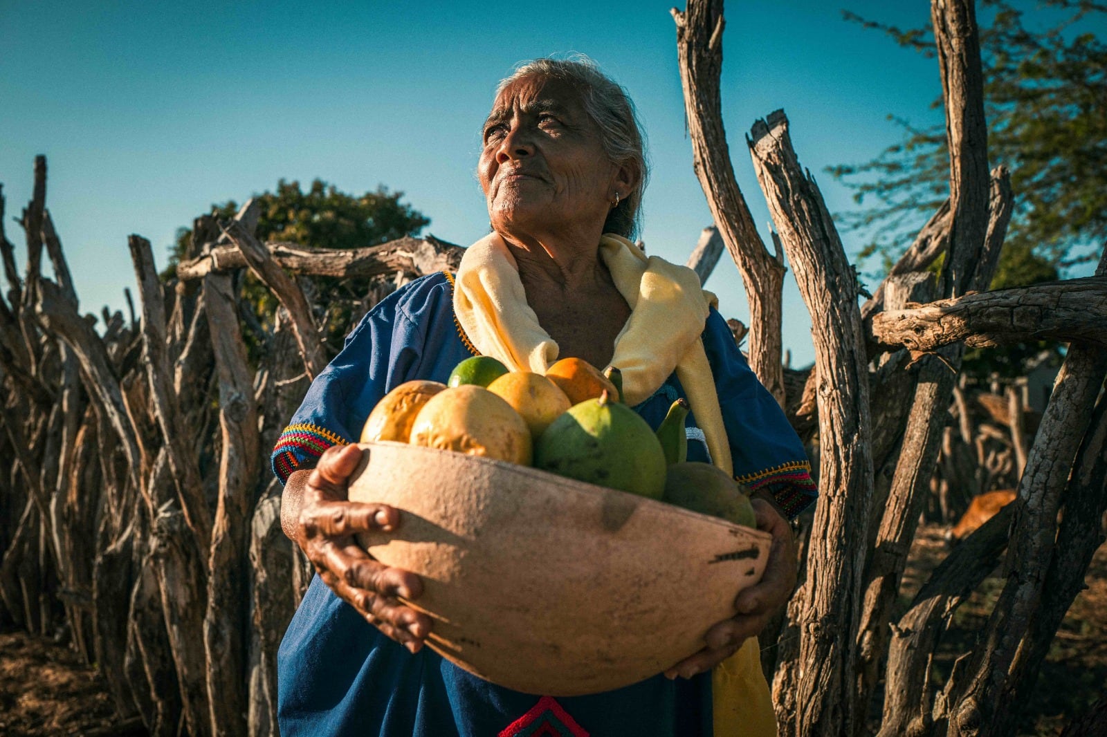 El Premio Campo que Alimenta abrió su convocatoria para identificar y reconocer iniciativas que desde la ruralidad colombiana.