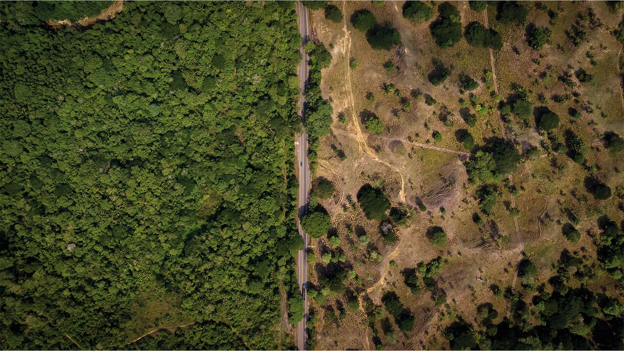 Especial Acción Climática Compromisos