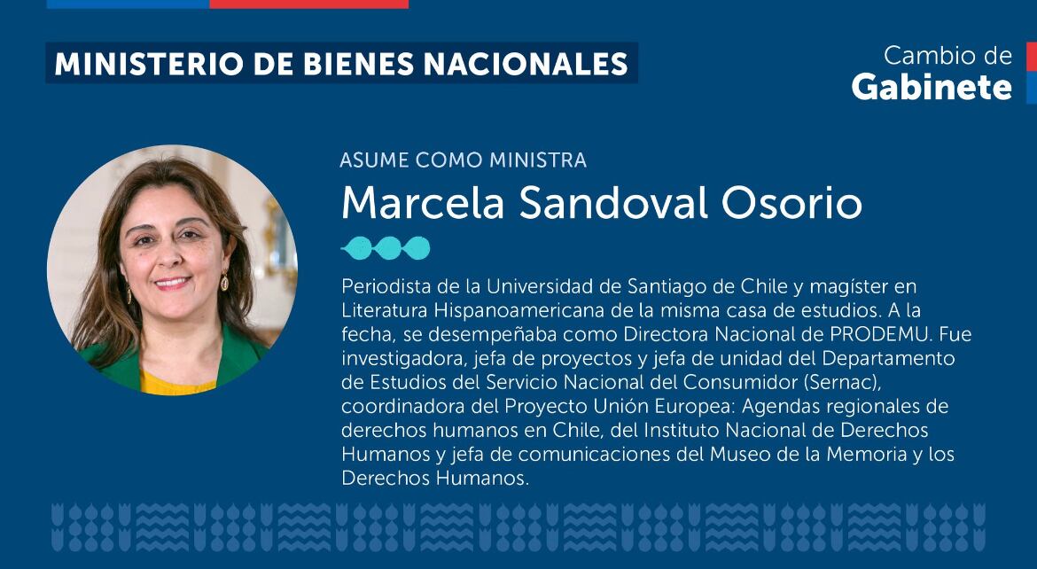 Captura de pantalla X @Presidencia_cl.