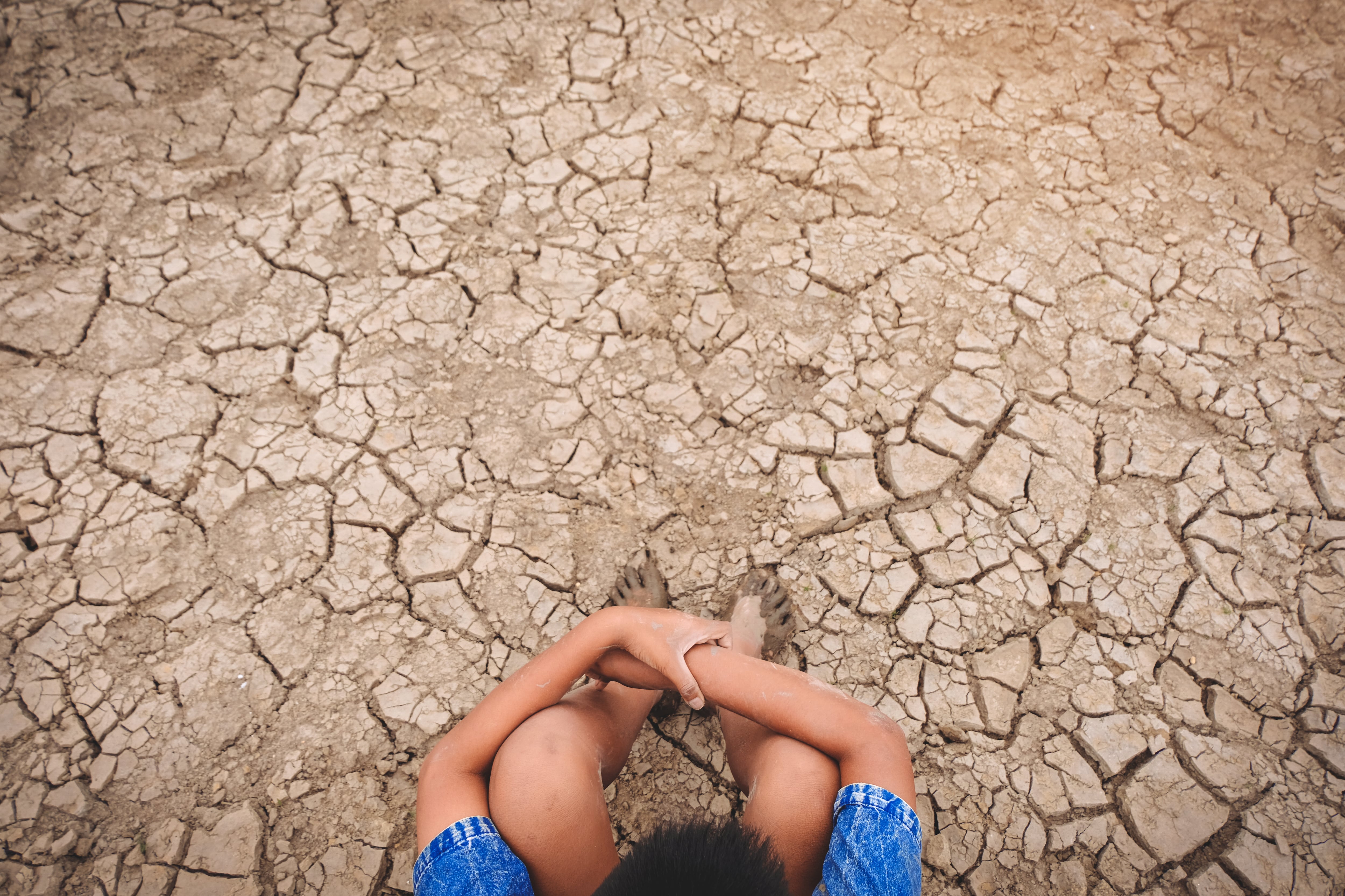 Imagen referencia del fenómeno de El Niño.