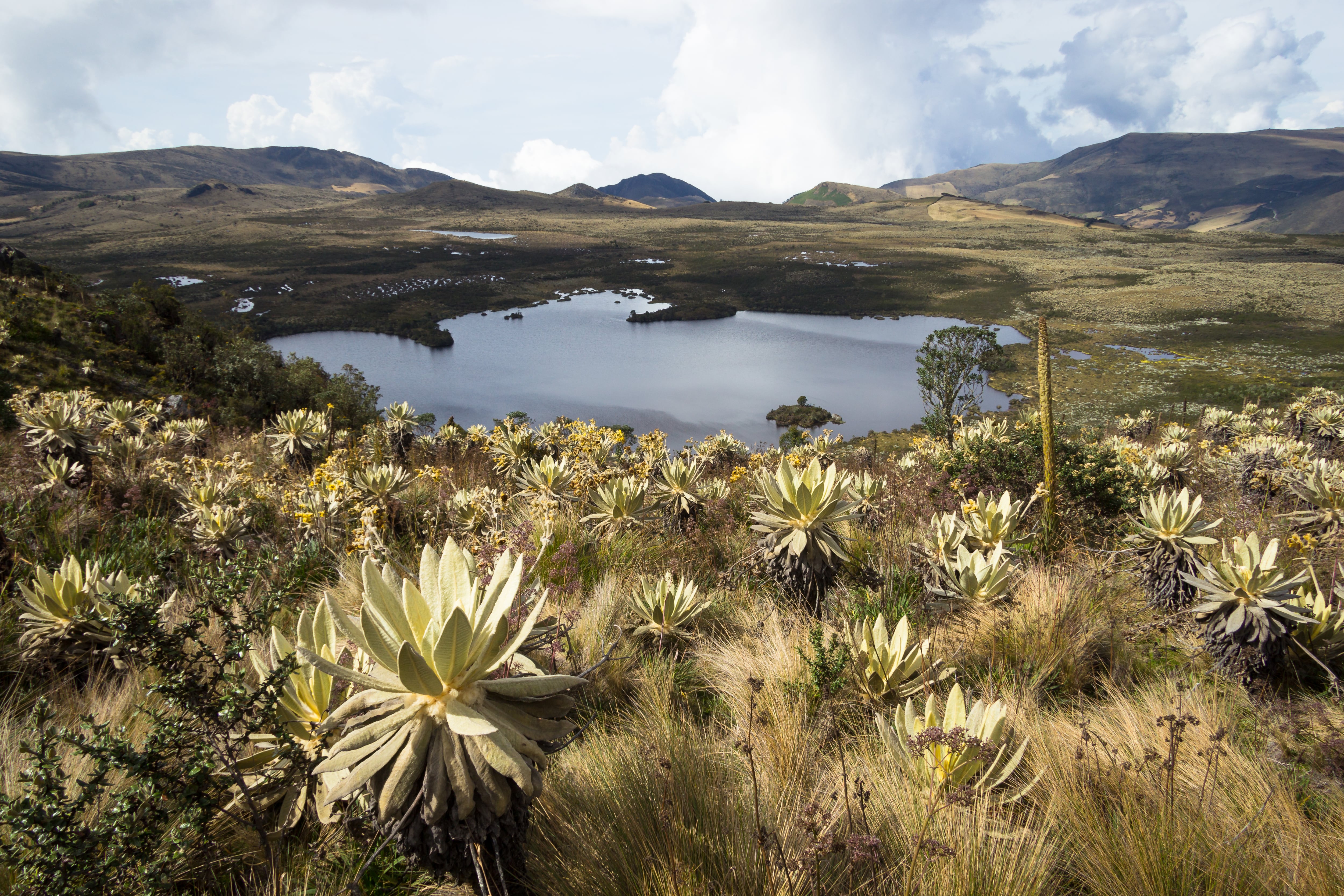 Biodiversidad