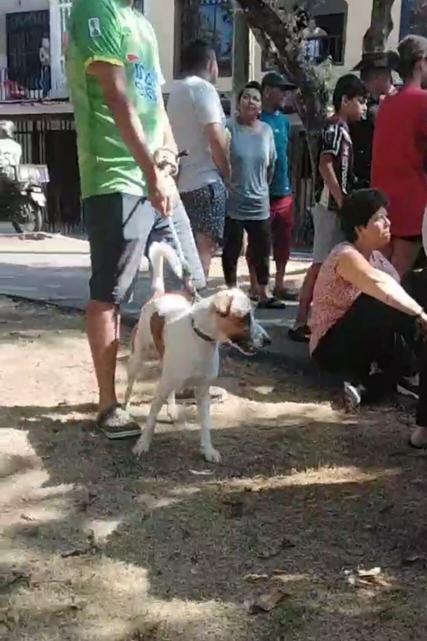 Las autoridades ya iniciaron las investigaciones.