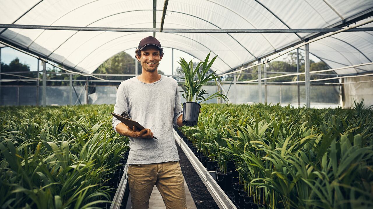 Emprendimientos sociales se siguen consolidando en Colombia