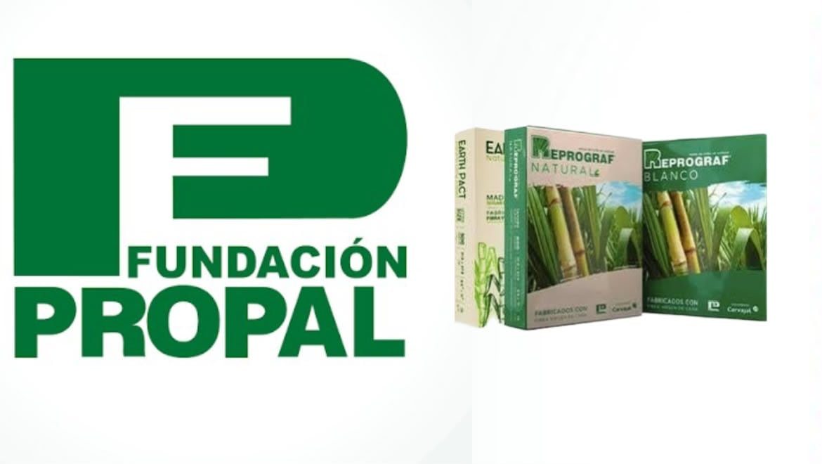 Propal solicitará su liquidación judicial