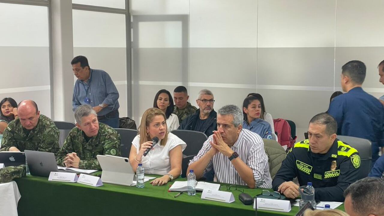 Director encargado de La Unidad Nacional de Gestión del Riesgo Luis Fernando Velasco