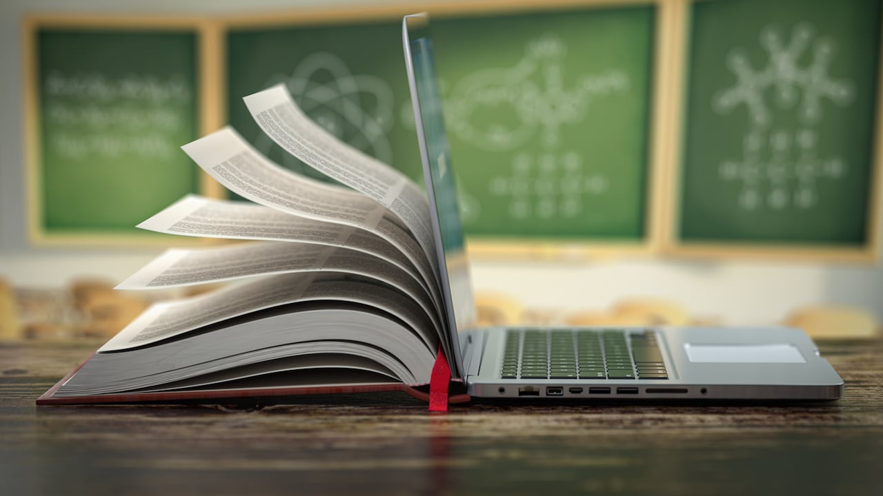 Es importante que desde los cargos directivos hasta el profesorado tengan una adecuada preparación, planificación, liderazgo y gestión del proyecto educativo virtual.