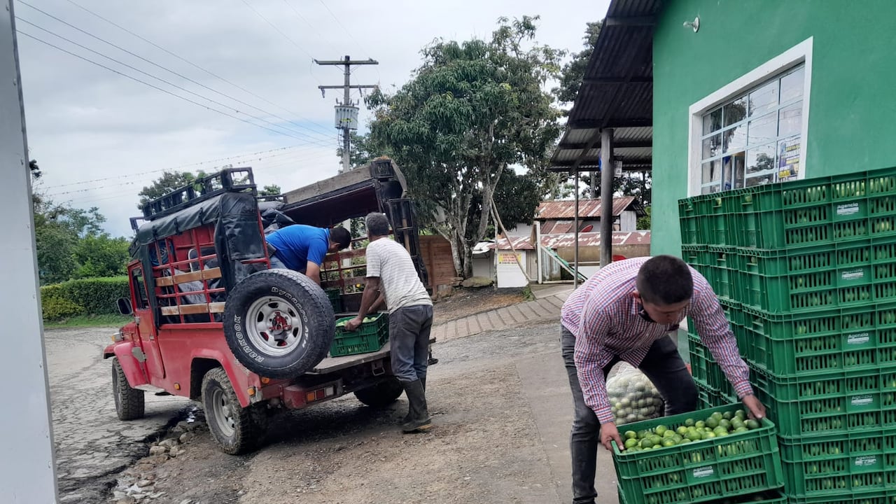 La Gobernación de Cundinamarca lanzó “Misión Rescate”, una estrategia de la para comprar las cosechas a los agricultores afectados por la emergencia invernal