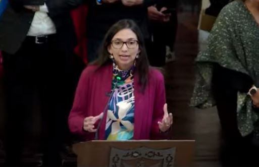 Ana María Cadena, secretaria de Hacienda.