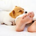 Hay evidencia de que los dueños de mascotas tienen una presión sanguínea más baja, menores niveles de colesterol y menos riesgo de sufrir del corazón. Esto es porque los animales ayudan a reducir la ansiedad, en especial tras un día difícil. Foto: Ingimages.