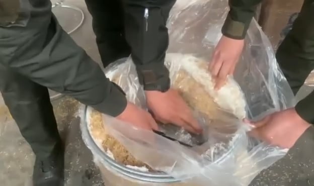 Candy, la perrita que integra el escuadrón antidrogas de la Policía en Cundinamarca.