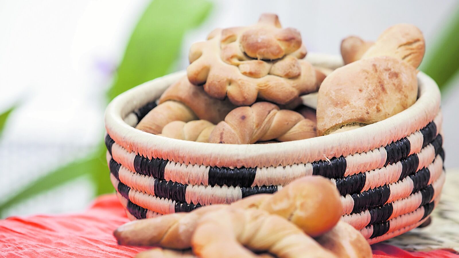 Hay que proteger la soberanía alimentaria porque frutos como la guayaba perdieron espacio ante los cultivos de palma y coca.