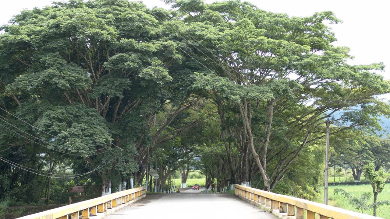 Viterbo destaca por su belleza natural, en medio de fincas cafeteras.