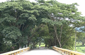 Viterbo, Caldas
