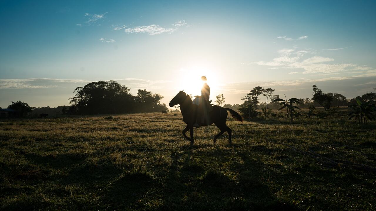 Enrique Palacio monta en su caballo mientras vigila los alrededores de las casi 100 hectáreas de su finca.