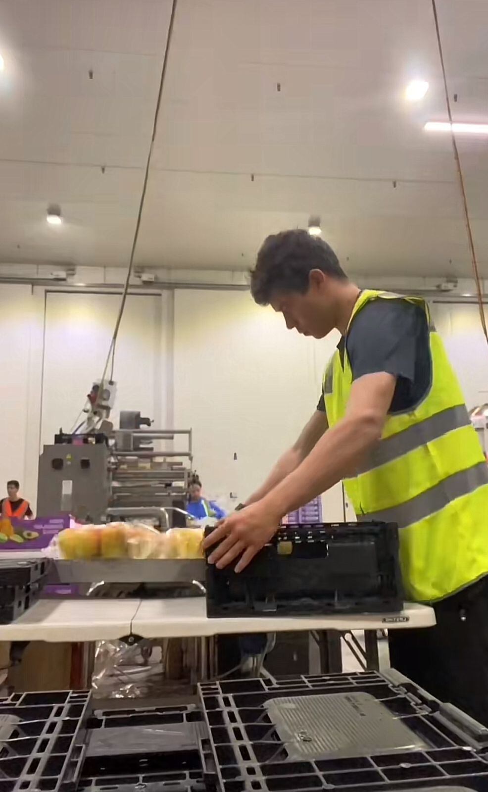 El joven contó que tiene que separar frutas y organizarlas en uno de sus trabajos