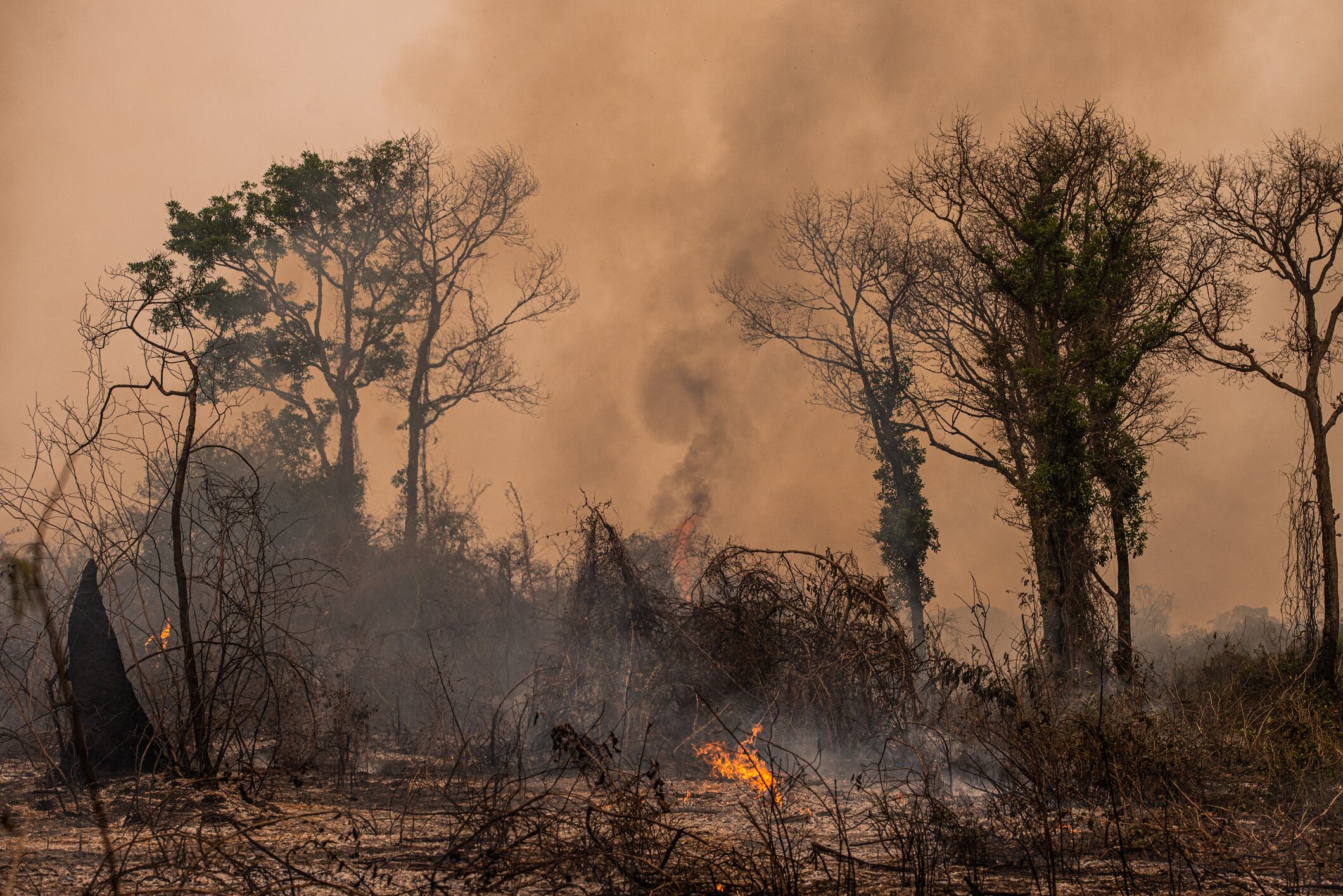 Incendios en selva amazónica
