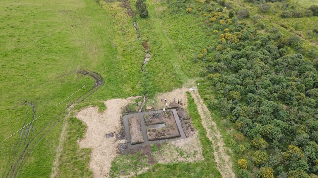 Becas del Instituto Distrital de las Artes (Idartes)