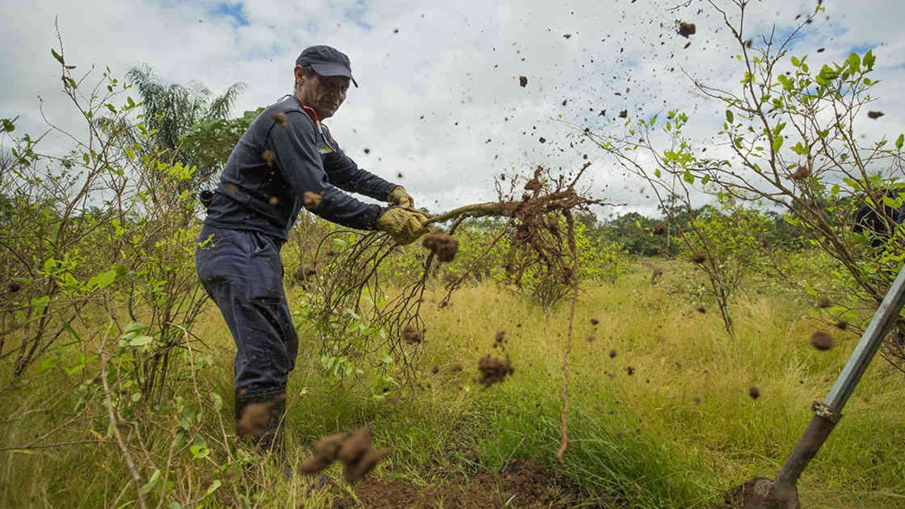 Foto: Daniel Reina - SEMANA.