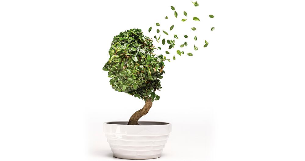 La pérdida de memoria puede detectarse hasta nueve años antes de un diagnóstico.