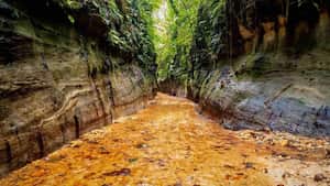 Reserva natural Las Dalias en Caquetá