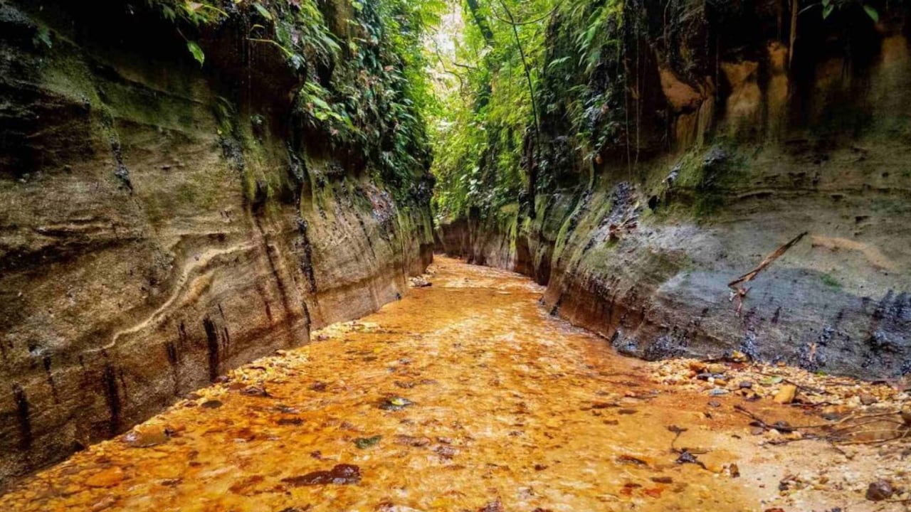 Reserva natural Las Dalias en Caquetá: ¿cuánto cuesta visitar este lugar y cómo llegar?