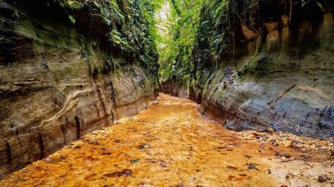Reserva natural Las Dalias en Caquetá: ¿cuánto cuesta visitar este lugar y cómo llegar?