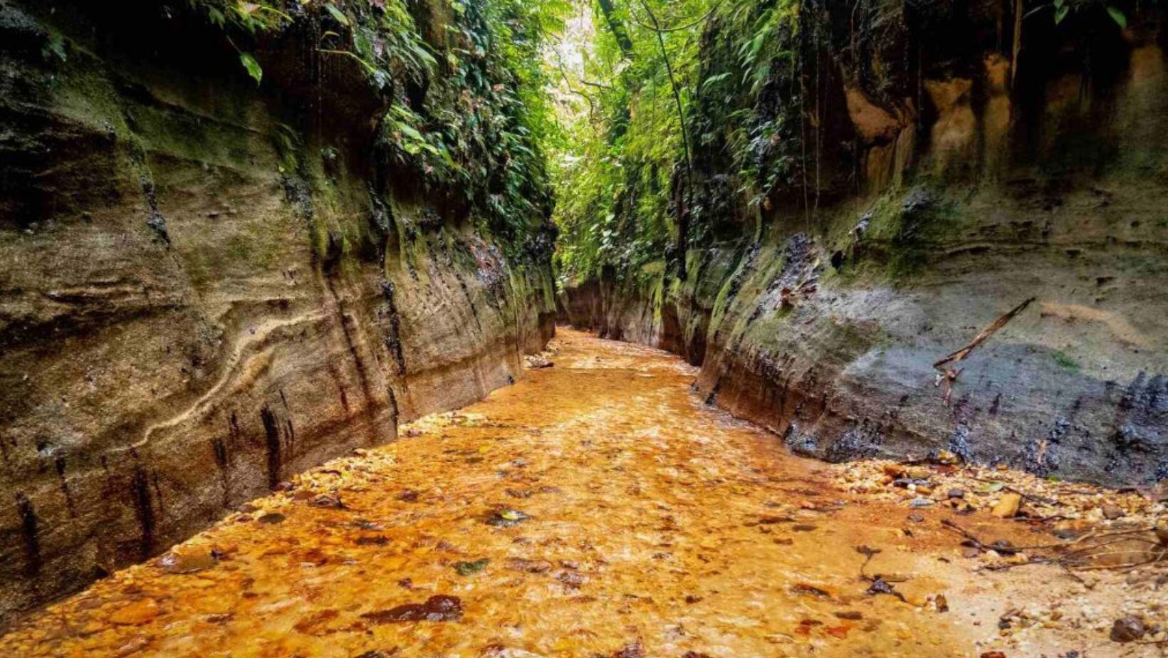 Reserva natural Las Dalias en Caquetá: ¿cuánto cuesta visitar este lugar y cómo llegar?