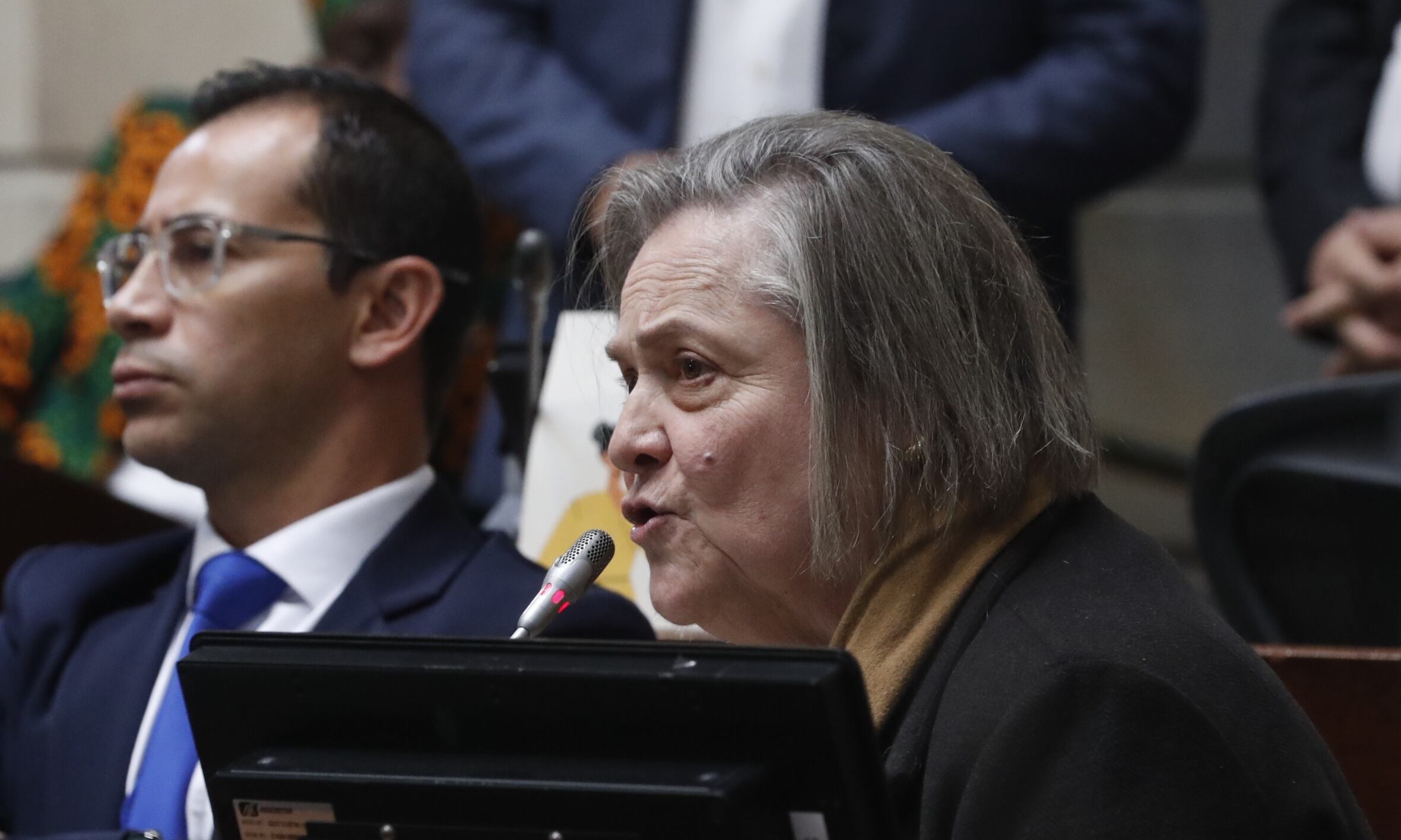 Senado de la República plenaria discusión Plan Nacional de Desarrollo