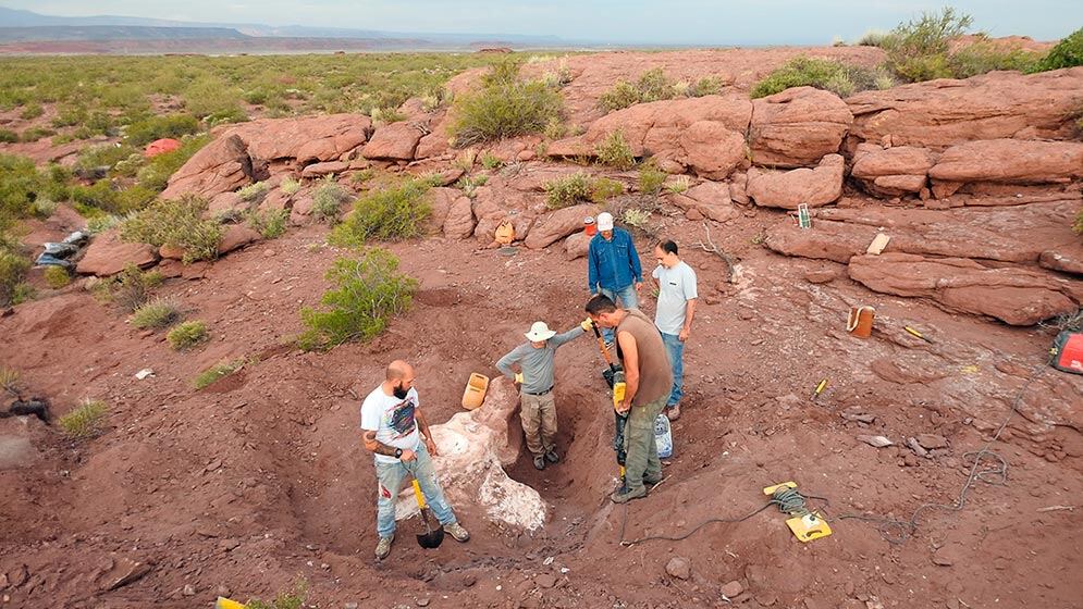 Científicos argentinos identificaron un dinosaurio que habitó la Patagonia durante el Cretácico.