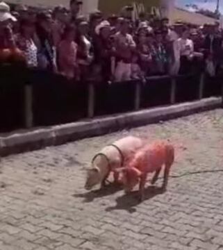 La actividad se realizó en cercanías al Coliseo Municipal.