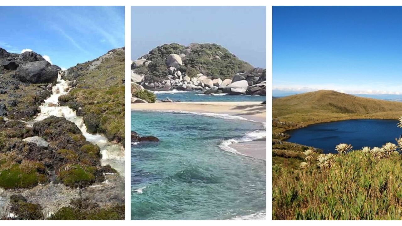 Parques Los Nevados, Tayrona y Chingaza.