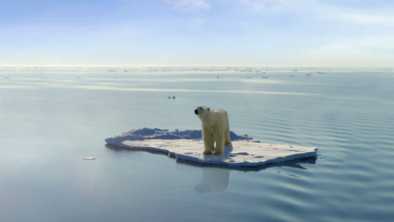 Los polos son unos de los lugares más afectados por el cambio climático.