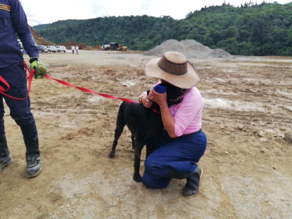 El animal se pudo reencontrar con la sobrina de los dueños de la casa, quienes murieron tras el deslizamiento.