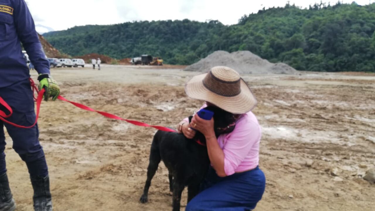 El animal se pudo reencontrar con la sobrina de los dueños de la casa, quienes murieron tras el deslizamiento.