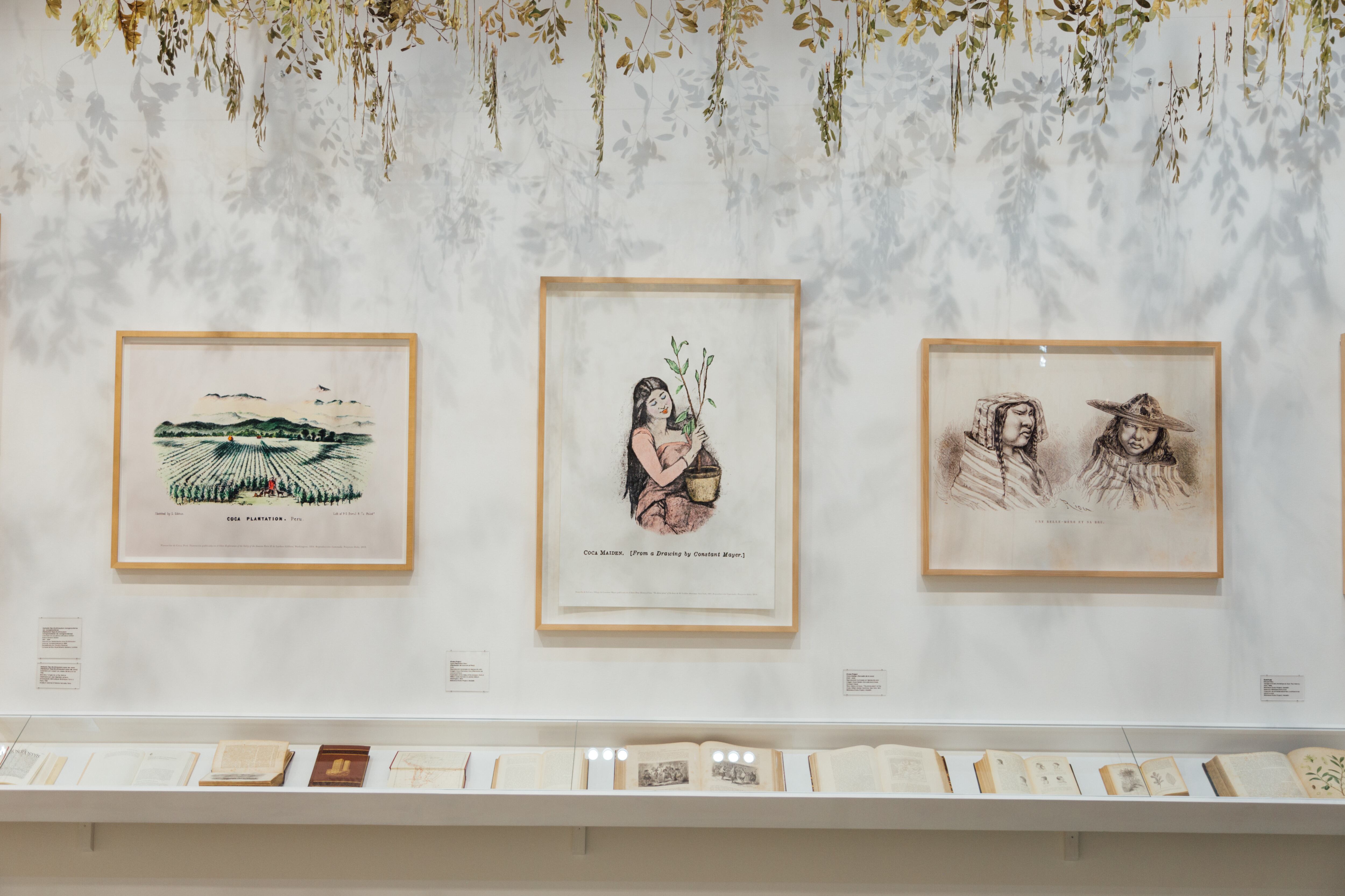 Los documentales, videos cortos pero muy ricos visualmente, son la herramienta pedagógica más interesante de la exposición.