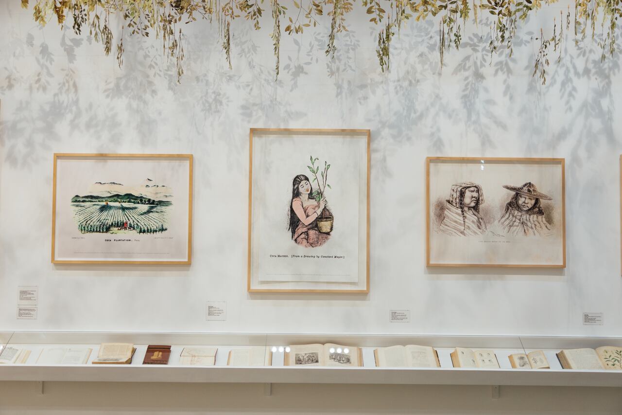 Los documentales, videos cortos pero muy ricos visualmente, son la herramienta pedagógica más interesante de la exposición.