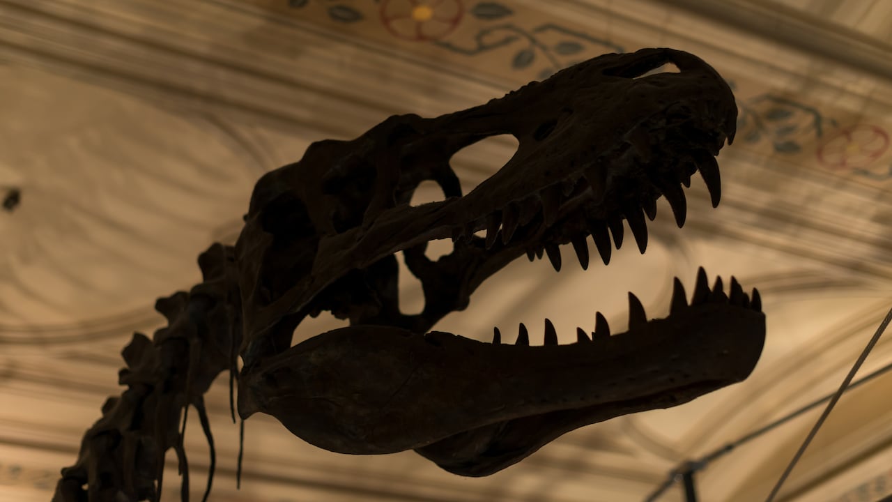 Dinosaurios en el Museo de Historia Natural de South Kensington