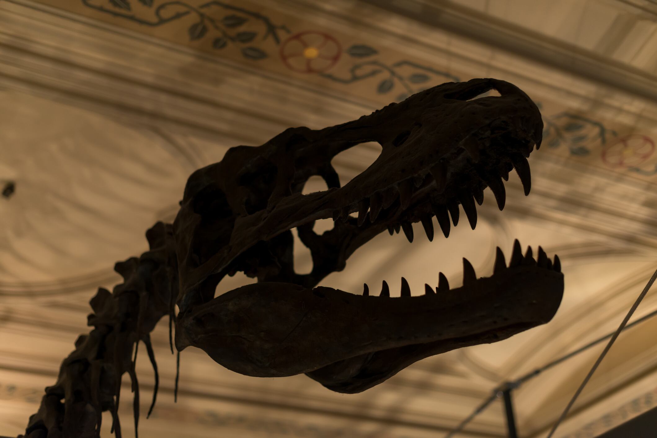 Dinosaurios en el Museo de Historia Natural de South Kensington