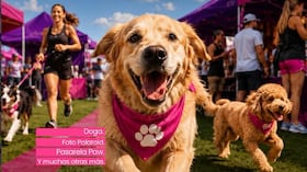 Llega Paw Run Fest a Bogotá: la carrera con perros que tiene tres recorridos.
