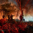 Incendio Tolima
Gobernación d21 agosto 2026