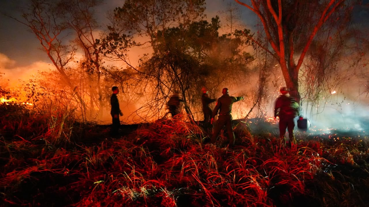 Incendio en Tolima.
