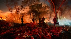 Incendio Tolima
Gobernación d21 agosto 2026