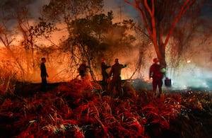 Incendio Tolima
Gobernación d21 agosto 2026