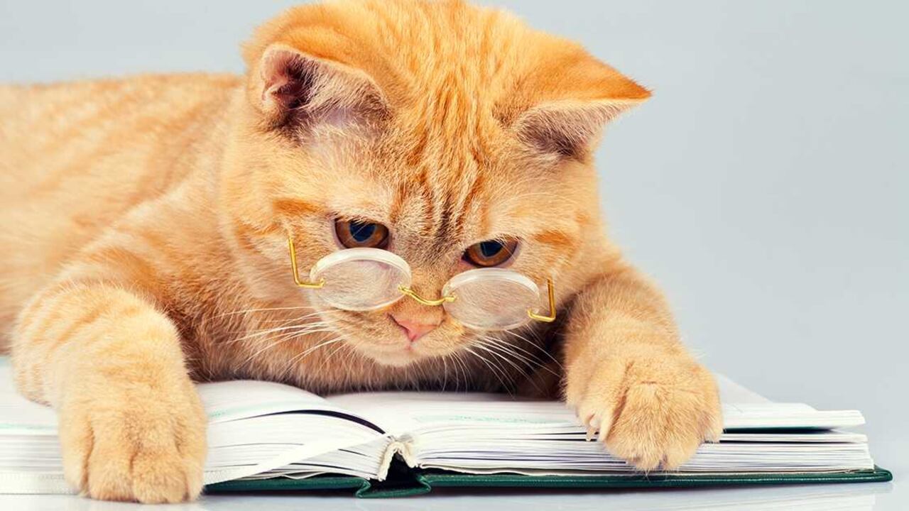 Libros recomendados para nuestros pequeños lectores.