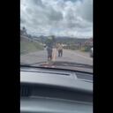 El hecho se presentó en el municipio de Dagua (Valle).