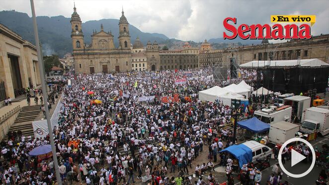 Semana en vivo