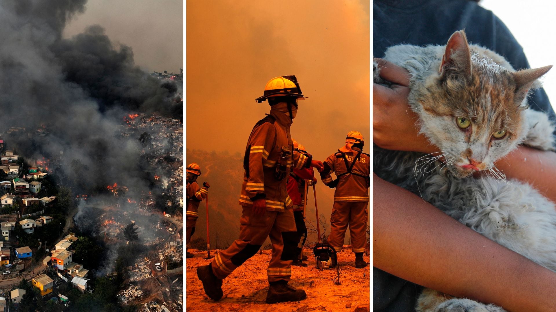 Incendio forestal chile